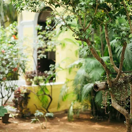 Laika Heritage Stay Mysore Exterior photo