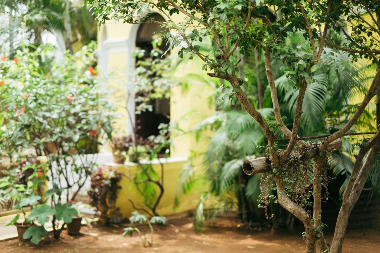 Laika Heritage Villa Mysore