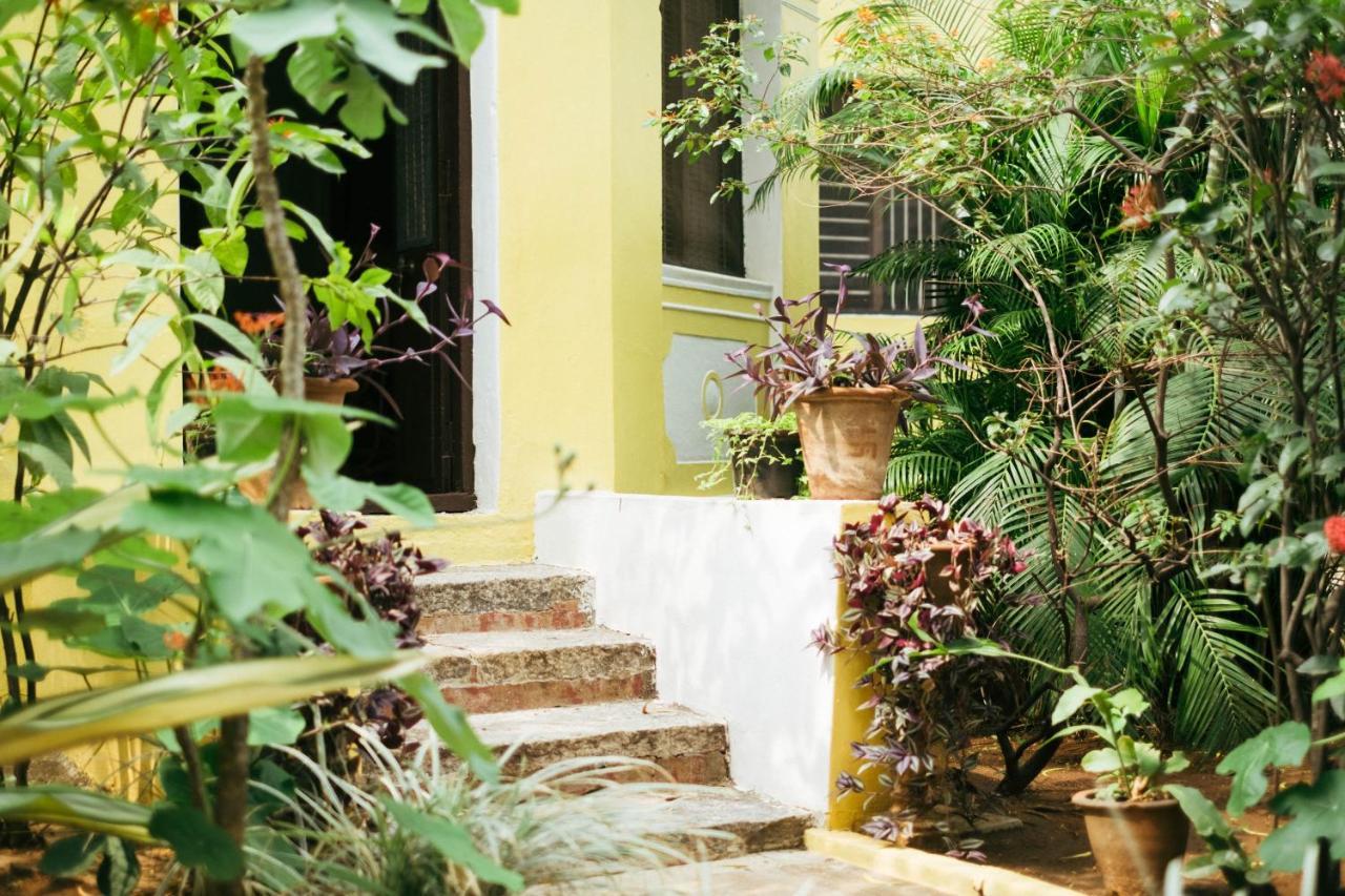 Laika Heritage * Mysore