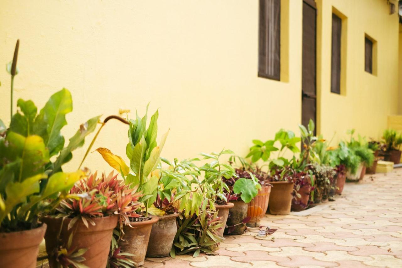 Villa Laika Heritage Mysore
